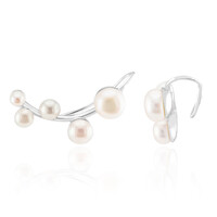 Pendientes en plata con Perla blanca Freshwater (TPC)