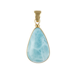 Colgante en plata con Larimar