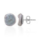 Pendientes en plata con Perla gris freshwater Keshi (TPC)